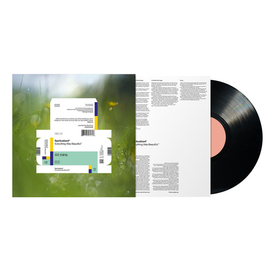 Front view of Everything Was Beautiful Standard Black Vinyl (German Version)